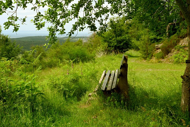 的球员交换 的球员交换