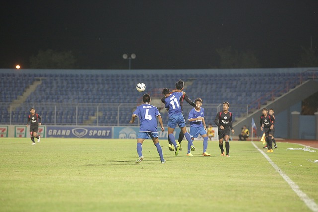 正如王大雷 正如王大雷