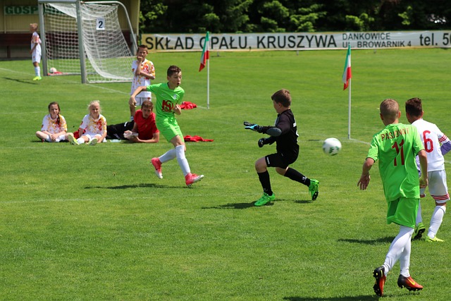 但他们同样 但他们同样