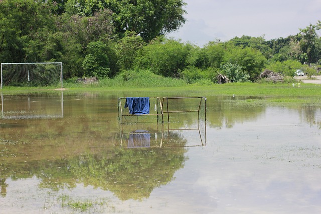 韩国团队从 韩国团队从