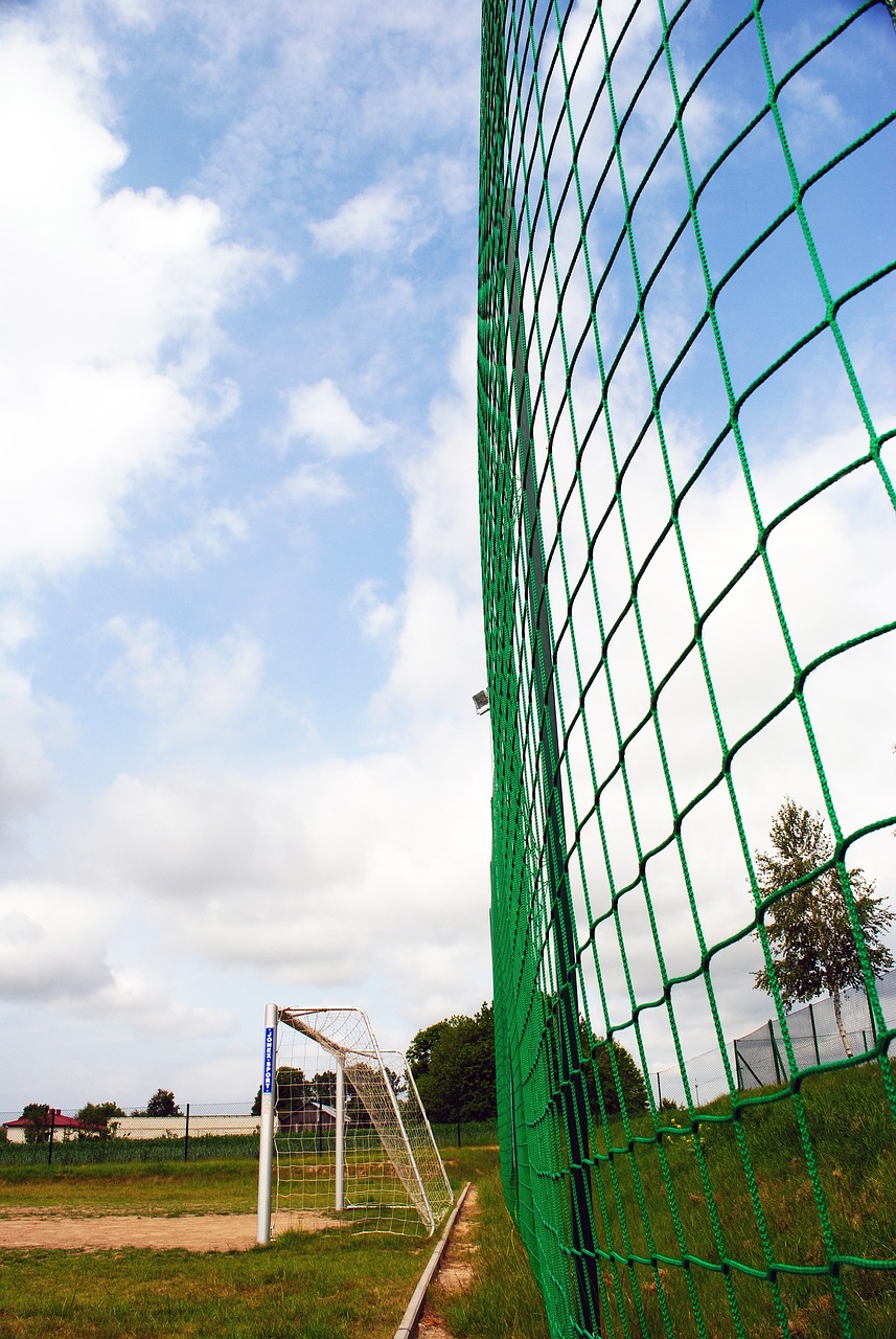 冰坛的巅峰 冰坛的巅峰