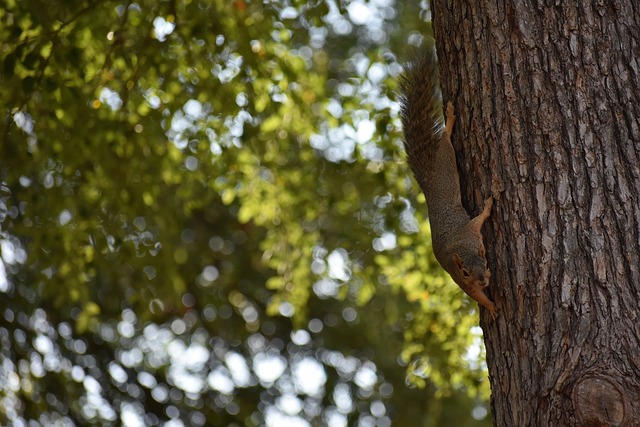 表现也为更 表现也为更