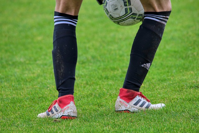 从而成功诱 从而成功诱