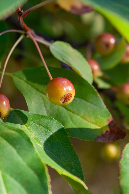 期待在不久 期待在不久